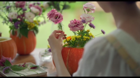 동영상보기
