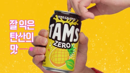 탐스제로