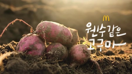 맥도날드 익산 고구마 모짜렐라 버거