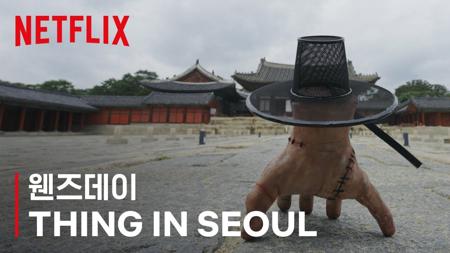 넷플릭스