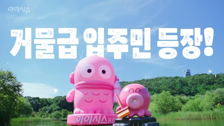 아이시스 8.0